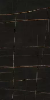 Керамогранит Ariostea