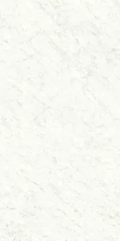 Керамогранит Ariostea