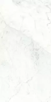 Керамогранит Ariostea