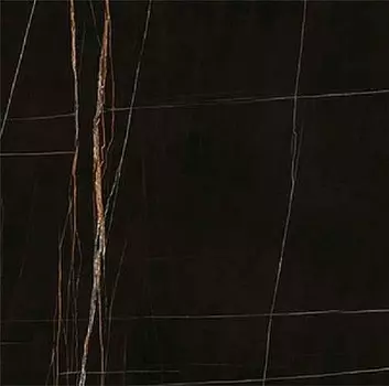 Керамогранит Ariostea