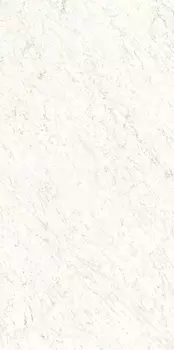 Керамогранит Ariostea