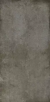 Керамогранит Ariostea