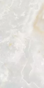 Керамогранит Ariostea