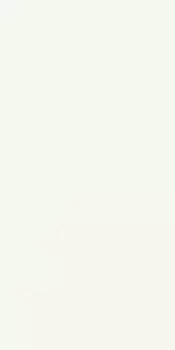 Керамогранит Ariostea