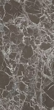 Керамогранит Ariostea