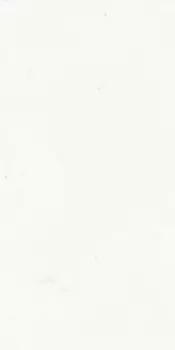 Керамогранит Ariostea