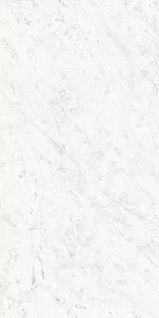 Керамогранит Ariostea