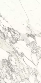 Керамогранит Ariostea