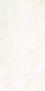 Керамогранит Ariostea