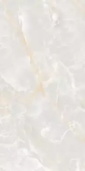 Керамогранит Ariostea