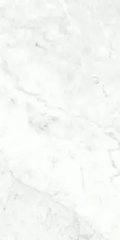 Керамогранит Ariostea