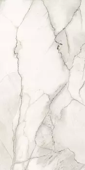 Керамогранит Ariostea