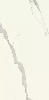 Керамогранит Ariostea