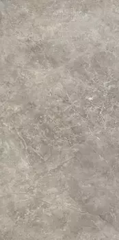 Керамогранит Ariostea