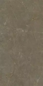 Керамогранит Ariostea