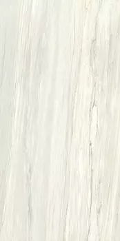 Керамогранит Ariostea