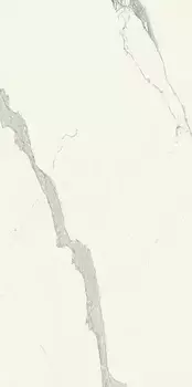 Керамогранит Ariostea