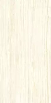 Керамогранит Ariostea