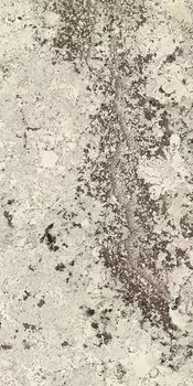 Керамогранит Ariostea