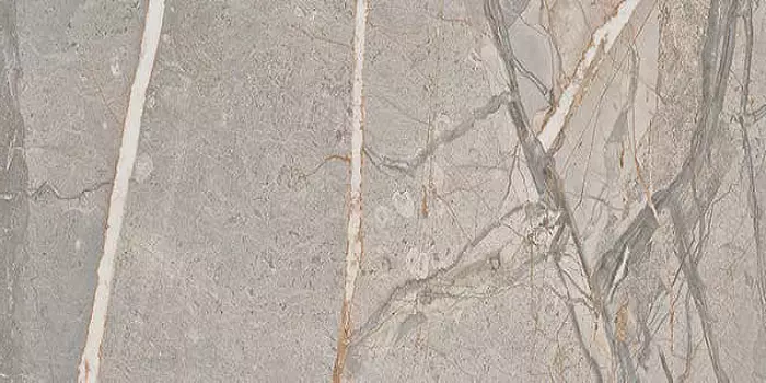 Керамогранит Cercom