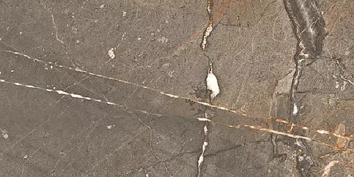 Керамогранит Cercom