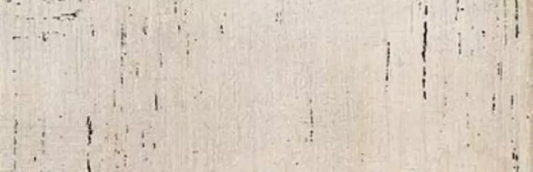 Керамогранит Dom Ceramiche