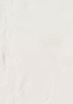 Керамогранит Emil Ceramica