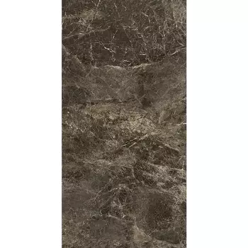 Керамогранит Emil Ceramica