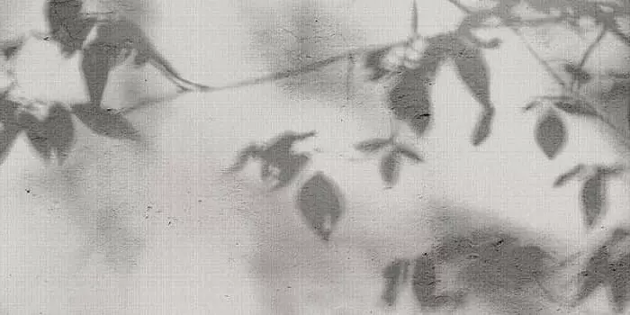 Керамогранит Flaviker