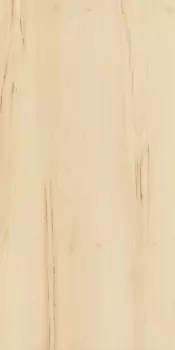 Керамогранит Italon