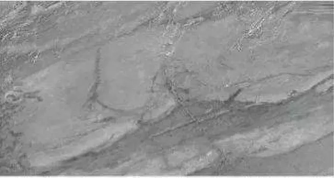 Керамогранит KeramoPro