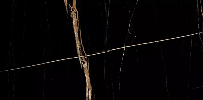 Керамогранит Laparet