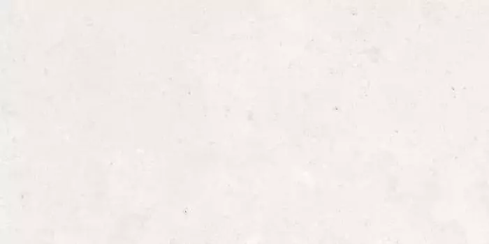 Керамогранит Lasselsberger Ceramics