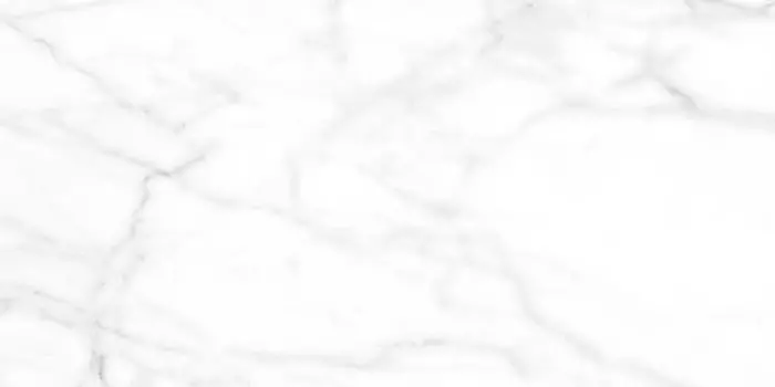 Керамогранит Lasselsberger Ceramics