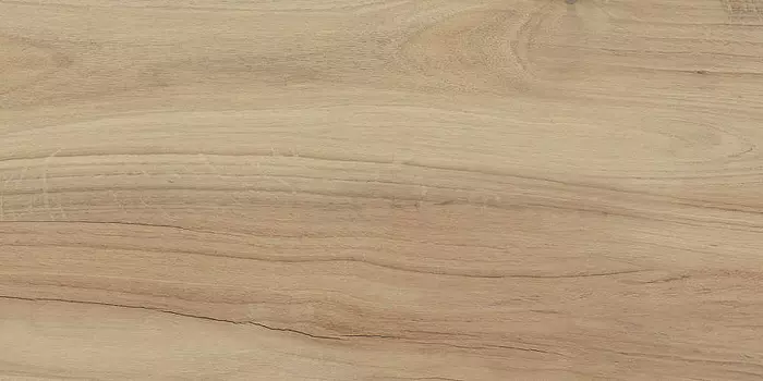 Керамогранит Lasselsberger Ceramics