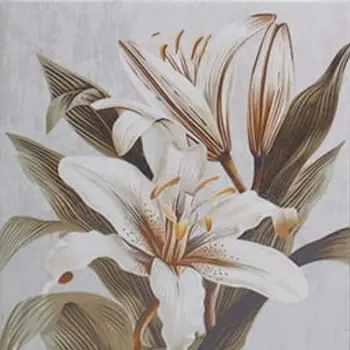 Керамогранит Mainzu