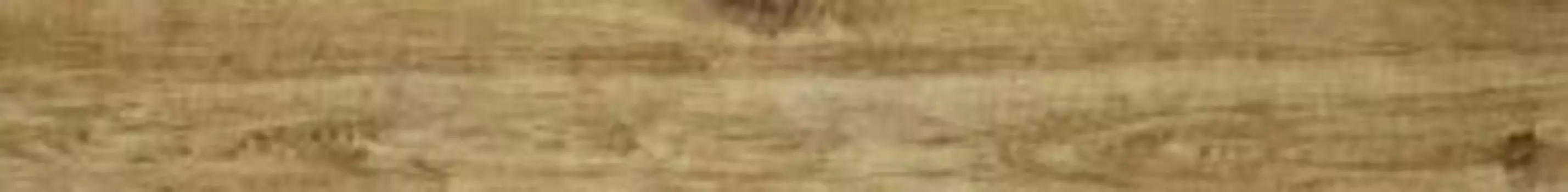 Керамогранит Marazzi Italy