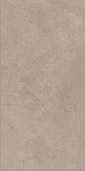 Керамогранит Monocibec