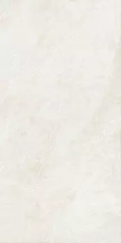 Керамогранит Monocibec