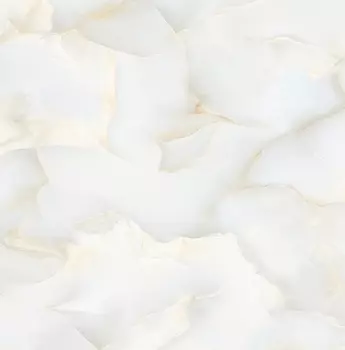 Керамогранит Realistik