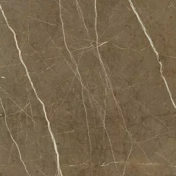 Керамогранит Vitra