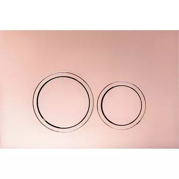 Клавиша смыва Ceruttispa