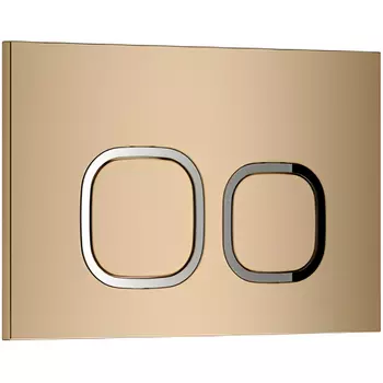 Клавиша смыва Ceruttispa