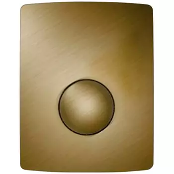 Клавиша смыва Sanit