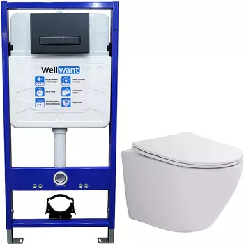 Комплект унитаза WellWant