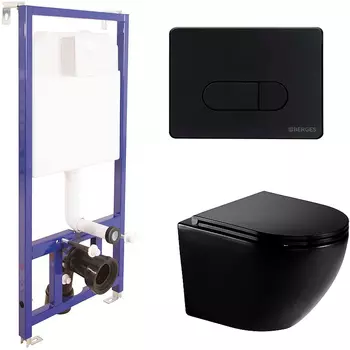 Комплект унитаза WeltWasser