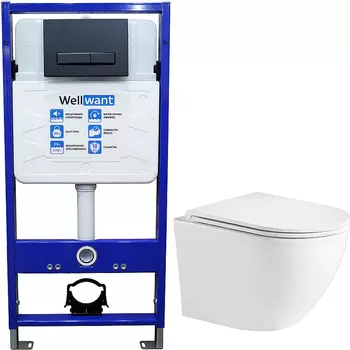 Комплект унитаза WeltWasser