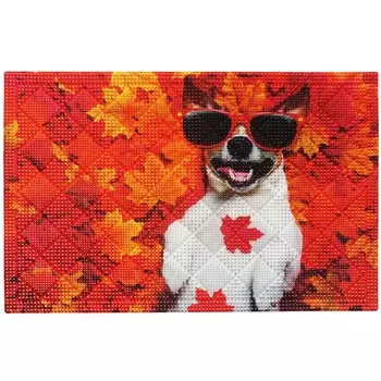 Коврик для входной двери Fora