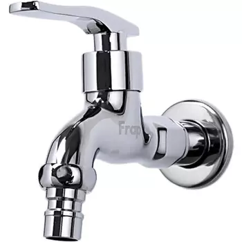 Кран для одного типа воды Frap