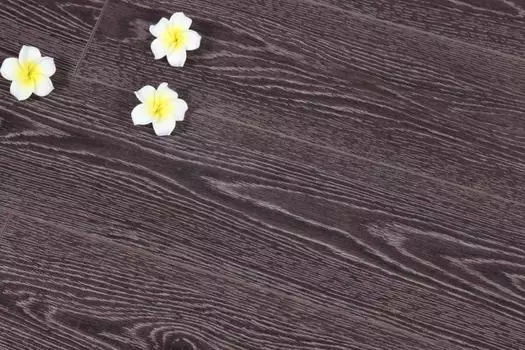 Ламинат Proteco